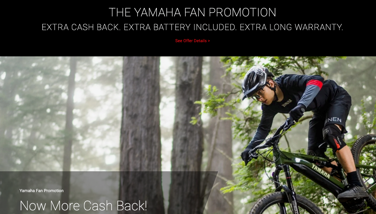 Yamaha Customer Cash Promo 